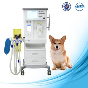 veterinary anesthesia device DM_6A